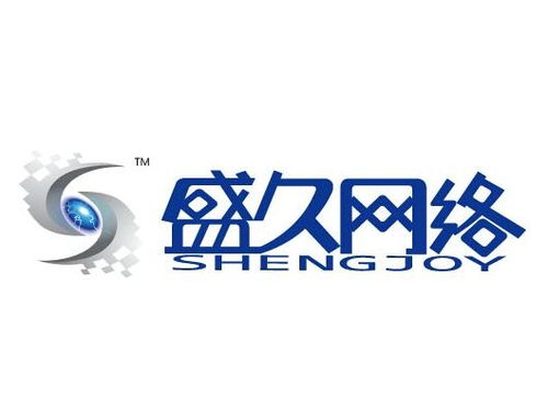 上海盛久網絡科技發展 深耕技術，領航未來